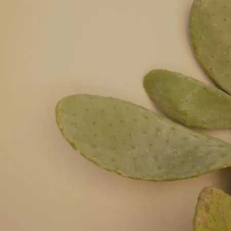 Hotel Impero & Nafplio